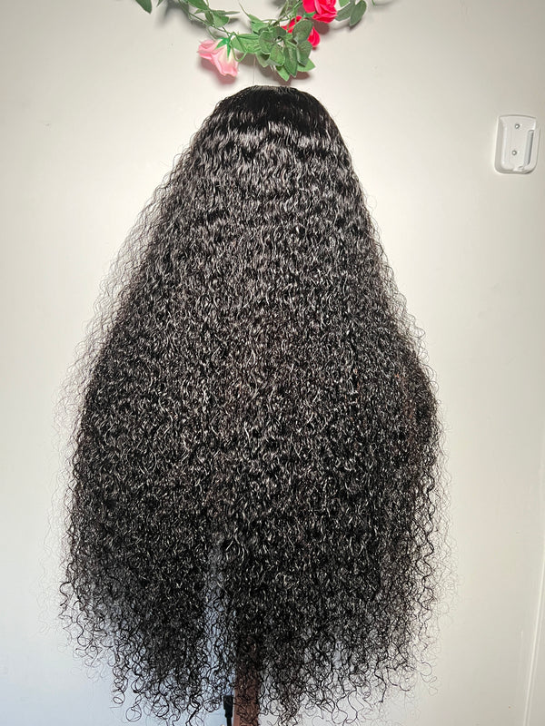 Kinky Curly Human Hair Wig | Daisy Unit | ZionBellaLuxe